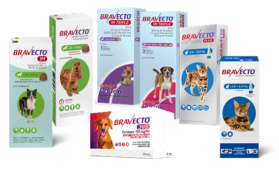 EXPLORA LA GAMA DE PRODUCTOS BRAVECTO®